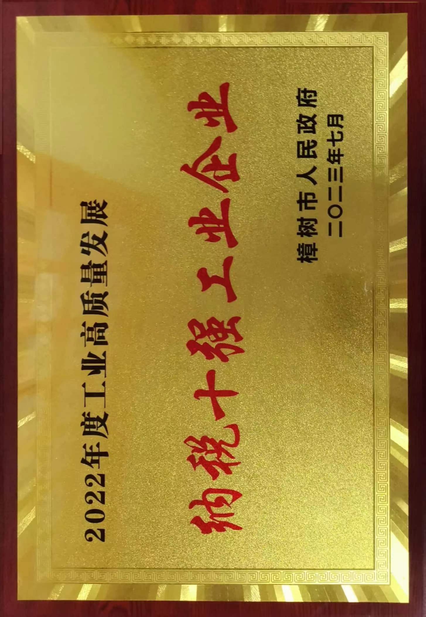 2022年度工業高質量發展 納稅十強工業企業