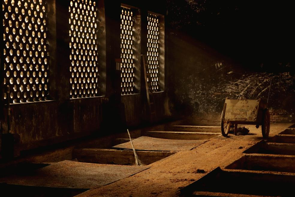 央媒點贊四特酒！ 深度解讀四特酒守正創新的品牌精神內核