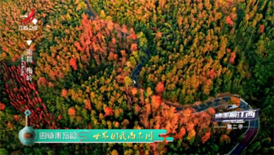 1588724786722069472.jpg 4.jpg