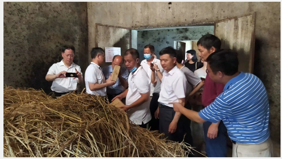 1593651900572022662.png 1593651900572022662.png